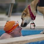 Custom Service Dog ID Card with QR Code