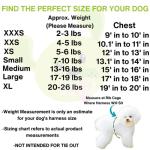 EcoBark Reflective Step-In Dog Harness