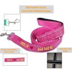Custom Embroidered Reflective Dog Leash - 13 Colors