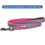 Personalized Pink Dog Leash with ID Embroidery