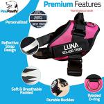 Personalized No Pull Dog Harness with Custom Patches