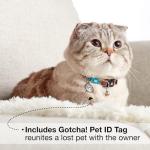 Max & Molly Adjustable Cat Collar with QR Tag