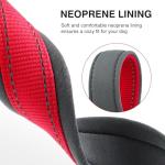 Personalized Reflective Dog Collar with Embroidered Name