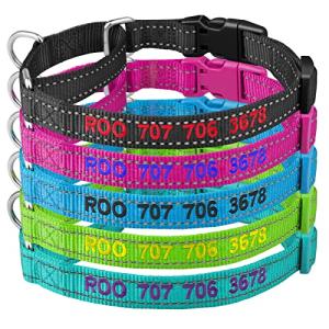 Personalized Reflective Martingale Dog Collar with Name