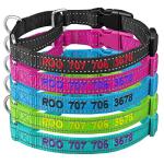 Personalized Reflective Martingale Dog Collar with Name