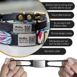Personalized QR Code Pet ID Tag for Pets