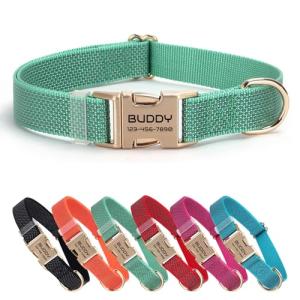 Personalized Reflective Pet Collar with Name - Green