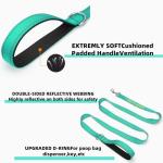 Custom Embroidered Reflective Dog Leash - 13 Colors