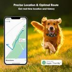 Real-Time GPS Dog Collar Tracker - No Monthly Fees