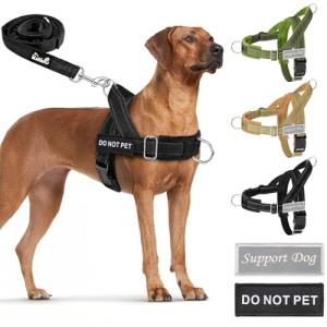 Heavy Duty No Pull Dog Harness and Leash Set