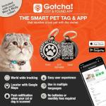 Max & Molly Adjustable Cat Collar with QR Tag