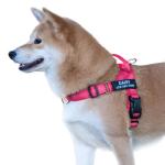 Custom No Pull Dog Harness with Name & Number