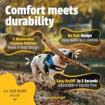 Personalized Reflective No-Pull Dog Harness, Blue