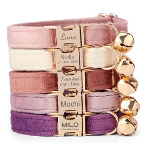 Custom Velvet Cat Collar with Name and Bell