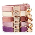 Custom Velvet Cat Collar with Name and Bell