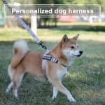 Custom No Pull Dog Harness with Name & Number