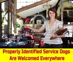 Custom Service Dog ID Card with QR Code