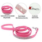 Personalized Rhinestone Dog Cat Collar and Leash Set