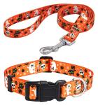 Halloween Dog Collar and Leash Set - Pumpkin Pattern