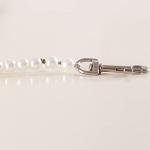 Custom Beaded Pet Leash for Dogs and Cats