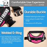 Personalized No Pull Dog Harness with Custom Patches