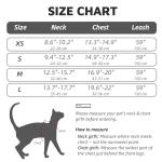 Adjustable Escape-Proof Cat Harness and Leash Set