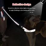 Custom Embroidered Reflective Dog Leash - 13 Colors