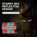 Personalized Reflective Pet Collar with Name - Green