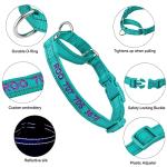 Personalized Reflective Martingale Dog Collar with Name