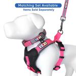 Personalized Pink Dog Leash with ID Embroidery
