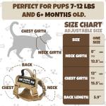 Custom Black Escape-Proof Cat Harness and Leash