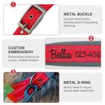 Personalized Reflective Dog Collar with Embroidered Name