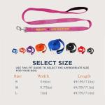 Custom Embroidered Reflective Dog Leash - 13 Colors