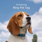 QR Code Pet Tag with Shareable Profile