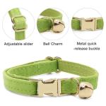 Custom Velvet Cat Collar with Name and Bell
