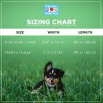 Personalized Pink Dog Leash with ID Embroidery