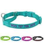 Personalized Reflective Martingale Dog Collar with Name