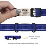 Personalized Silent Pet ID Slide-On Tag