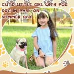 Amylove 48-Piece Adjustable Dog Collar and Leash Set