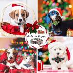 6 Pcs Christmas Dog Collars with Removable Buckles