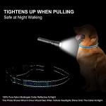 Personalized Reflective Martingale Dog Collar with Name