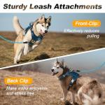 Personalized Tactical Service Dog Harness with Tags