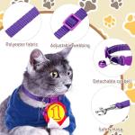 Amylove 48-Piece Adjustable Dog Collar and Leash Set