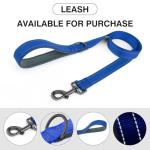 Personalized Reflective Dog Collar with Embroidered Name