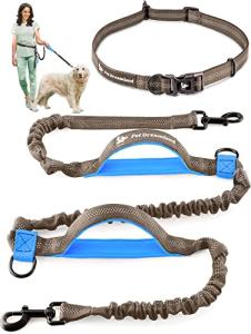 Pet Dreamland Hands-Free Leash for Big Dogs