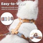 Adjustable Escape-Proof Cat Harness and Leash Set
