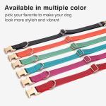 Personalized Reflective Pet Collar with Name - Green