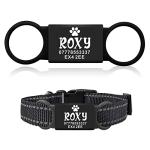 Personalized Engraved Dog & Cat ID Tags