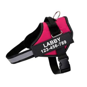 Custom Reflective Dog Harness with Name & Number