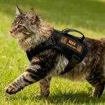 Custom Black Escape-Proof Cat Harness and Leash